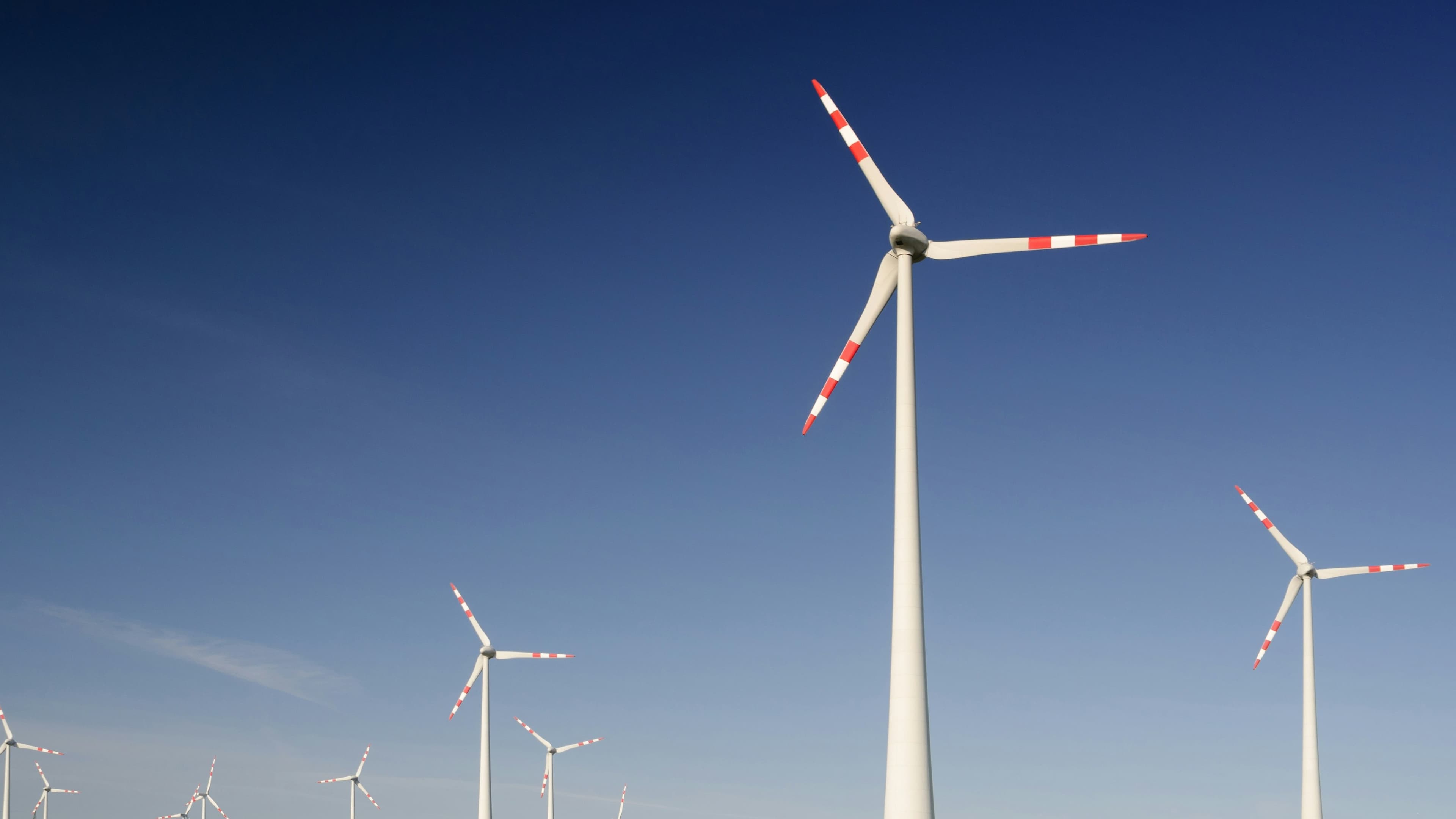 Which Companies Are Most Sustainable